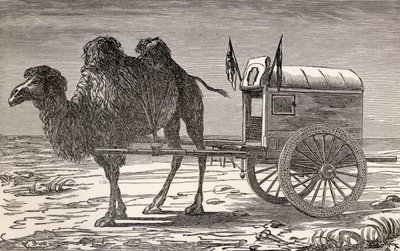 Egy teve, aki hintót húz az ázsiai Góbi-sivatagon keresztül, Victor Meignan „Párizsból Pekinbe a szibériai havakon”, metszett Smeeton-Tilly (Burne Smeeton (fl. 1840-60) és Auguste Tilly (18. sz.) alkotó: Louis Breton